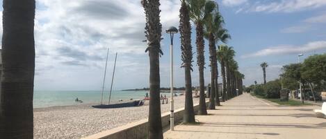 Playa en los alrededores y camastros