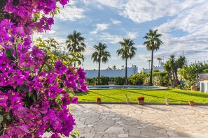 Property grounds - Villa by the sea with private pool and wifi (Las Casas de Alcanar)