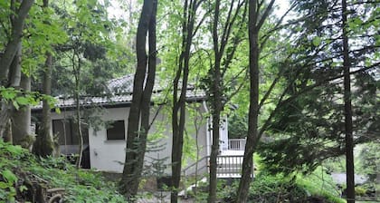 Exklusives Ferienhaus in der Rhön mit Wald, Urlaub mit Hund und Familie