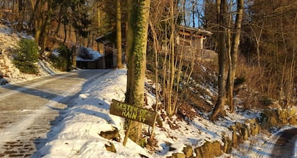 Exklusives Ferienhaus in der Rhön mit Wald, Urlaub mit Hund und Familie