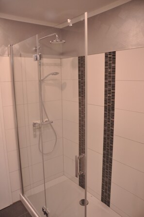 Shower, hair dryer, soap, toilet paper