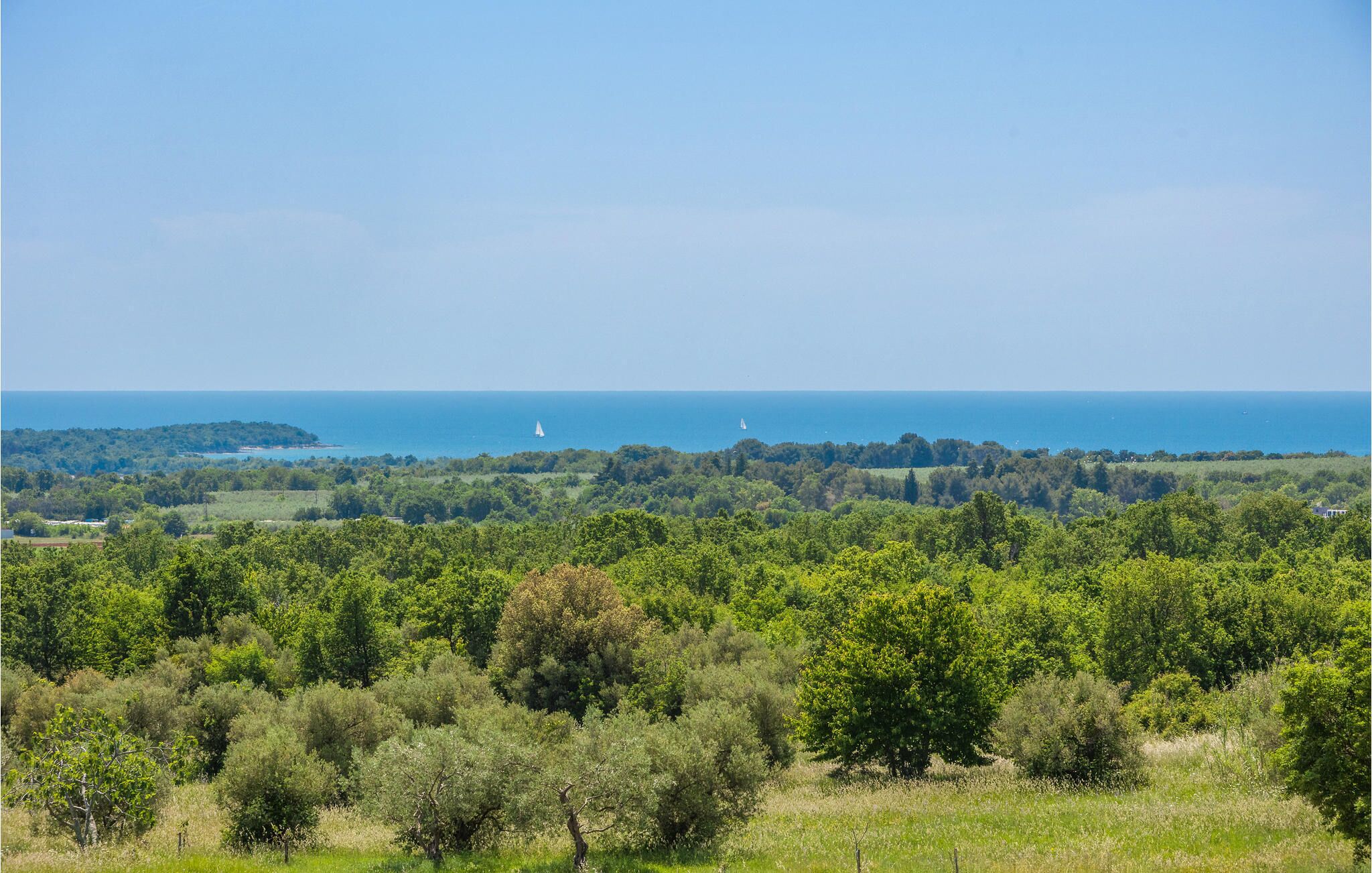 A coastal landscape with dense greenery and a clear view of the sea.
