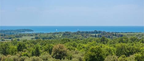 A coastal landscape with dense greenery and a clear view of the sea.