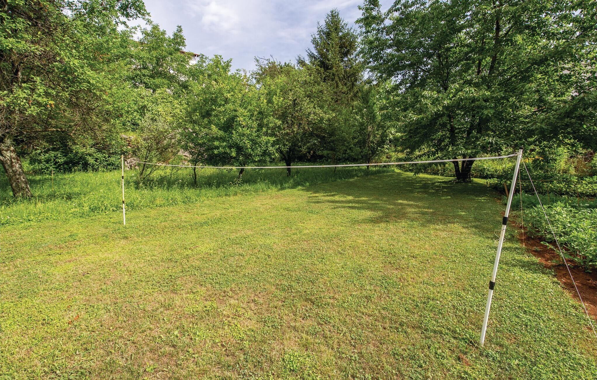 Un terrain herbeux avec un filet de volley-ball et des arbres en arrière-plan.