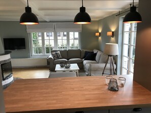 Télévision, cheminée, livres, chaîne hi-fi