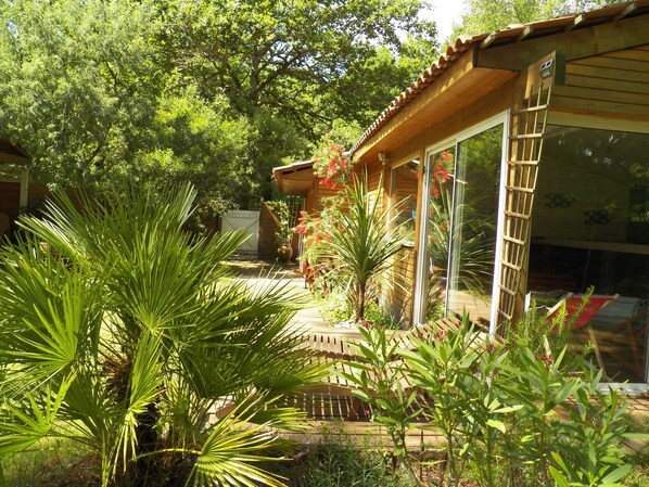 A wooden house with a glass door and a ladder leading to a deck.