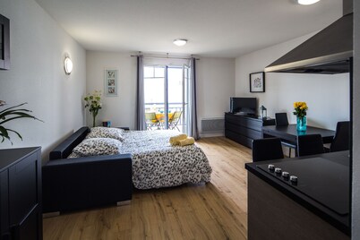 Charming apartment 1ere ligne mer - Swimming pool - Parking