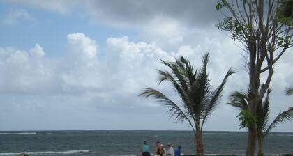 Villa Alamanda for 2-4 people less than 50 meters from the Caribbean Sea