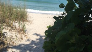 Ein sandiger Strand mit Meereswellen, umgeben von Vegetation.