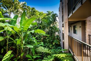 Property grounds - Ocean view! 3 Bedrooms! Great Location! (Kihei)