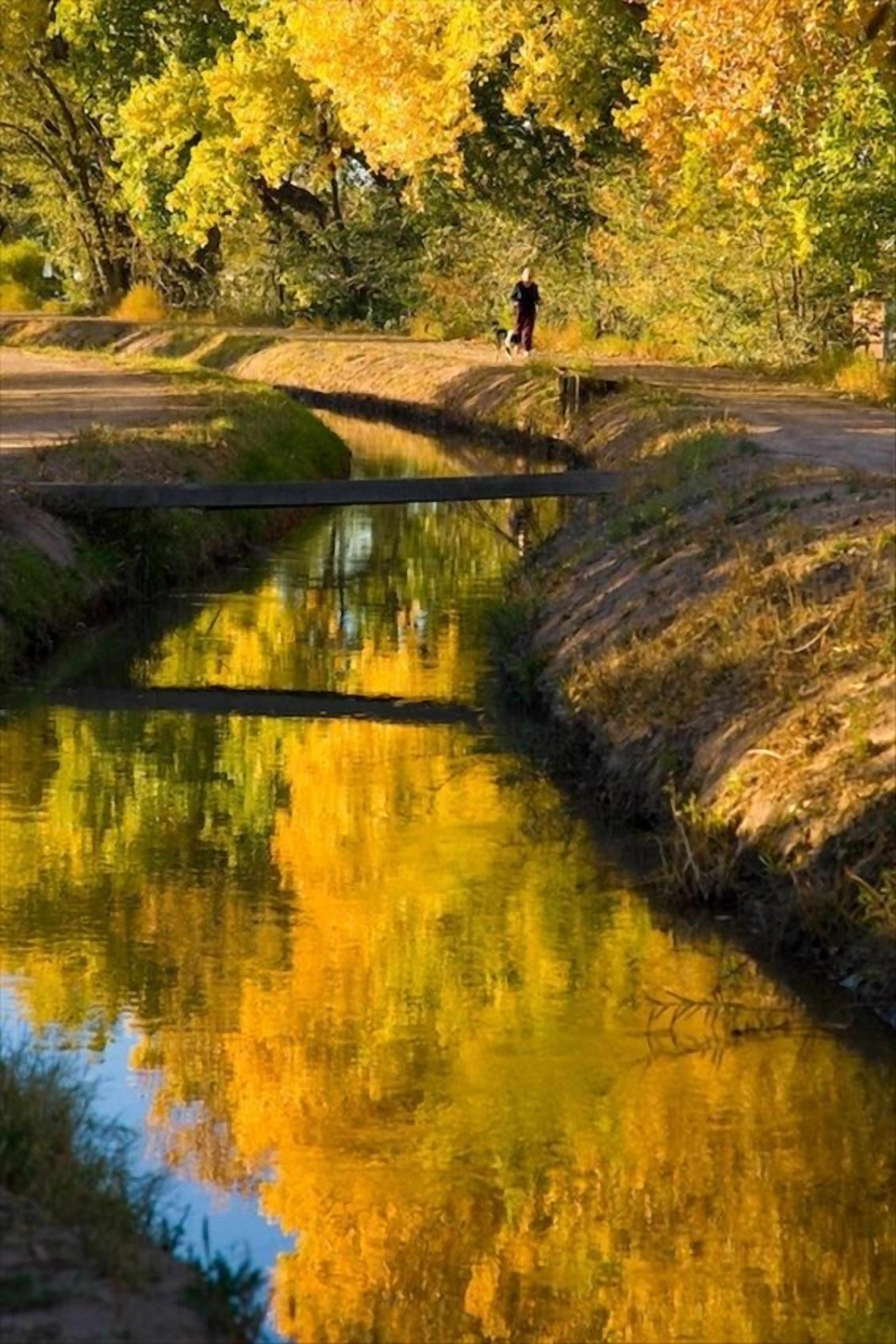 A serene outdoor scene with a person walking a dog along a path beside a calm water body reflecting the surrounding foliage.
