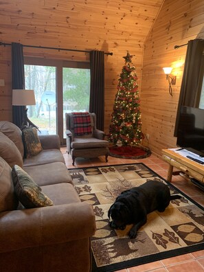Smart TV, fireplace, DVD player, ping pong