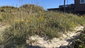 A sandy beach with vegetation and a building with a balcony.
