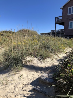 Terrain de lâhĂ©bergement