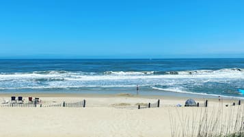 Plage, chaises longues