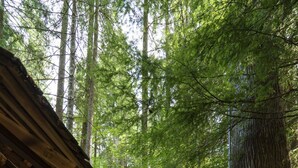 A wooden staircase leading into a forested area with a wooden structure on the left. - Charming Chalet-Private Cedar Soaking Tub-Snowline-Owner Managed (Glacier)