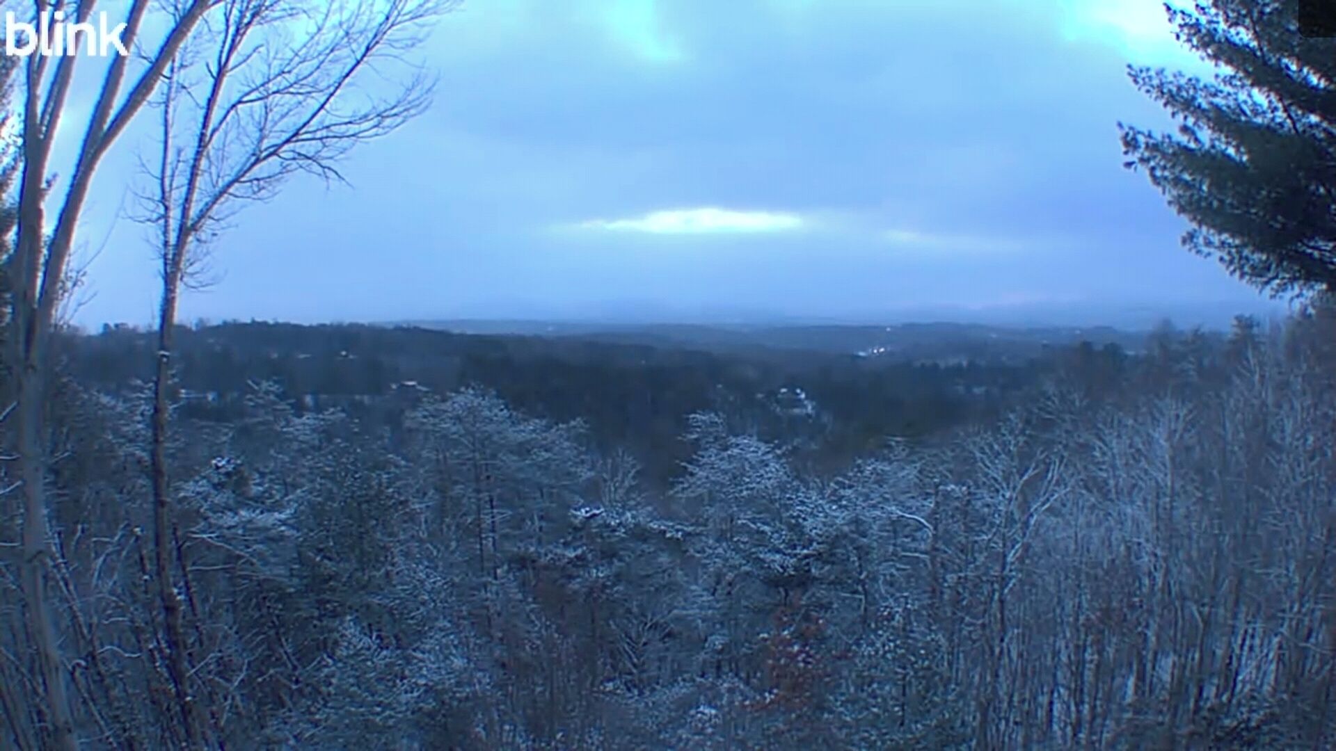 A forested landscape with snow-covered trees and a clear sky.