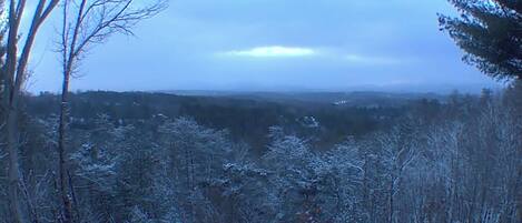 A forested landscape with snow-covered trees and a clear sky.
