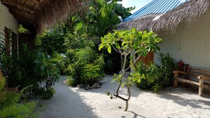 A tropical garden with a variety of plants and a small tree in the center.