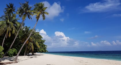 Blue World Dharavandhoo