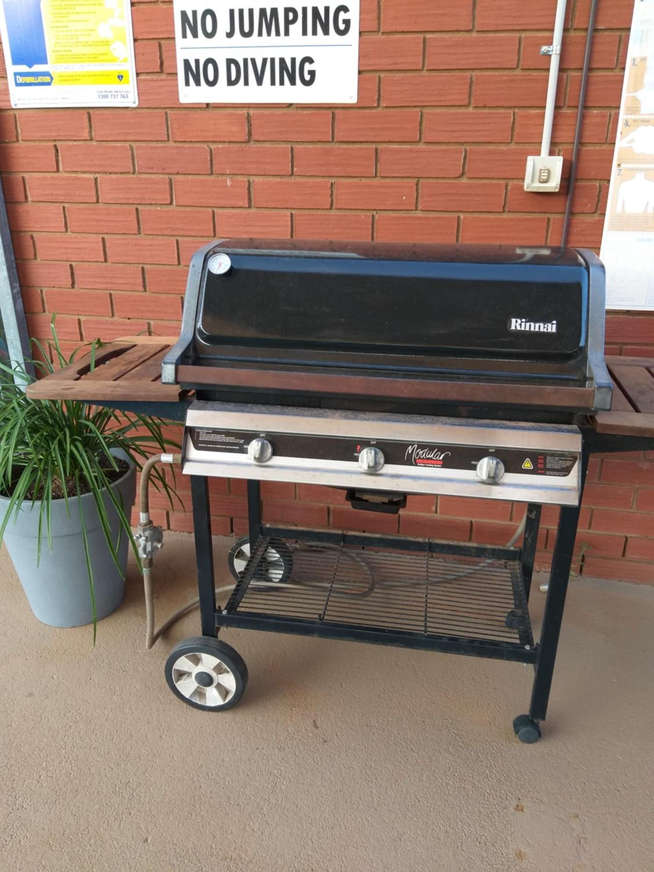 A Rinnai gas grill with a side table, a potted plant, and a 'No Jumping, No Diving' sign on a brick wall.
