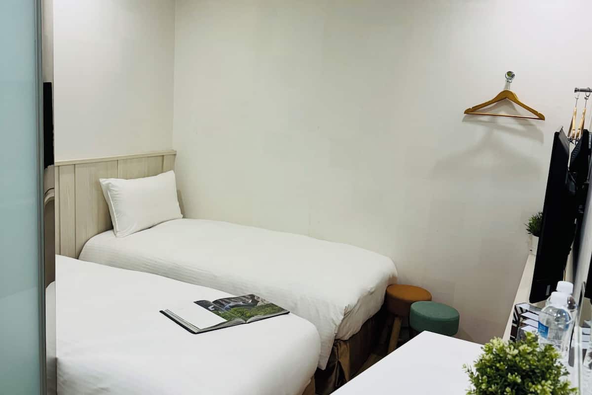 Une petite chambre propre, avec deux lits simples, une petite table sur laquelle est posée une plante, un miroir et un porte-vêtements.