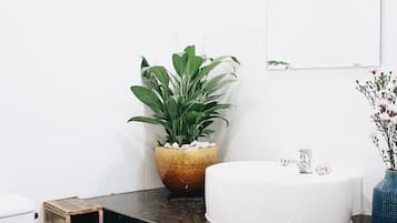 Hair dryer, shampoo, toilet paper