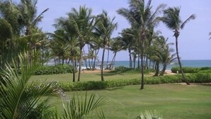 A tropical landscape with palm trees and a view of the ocean.