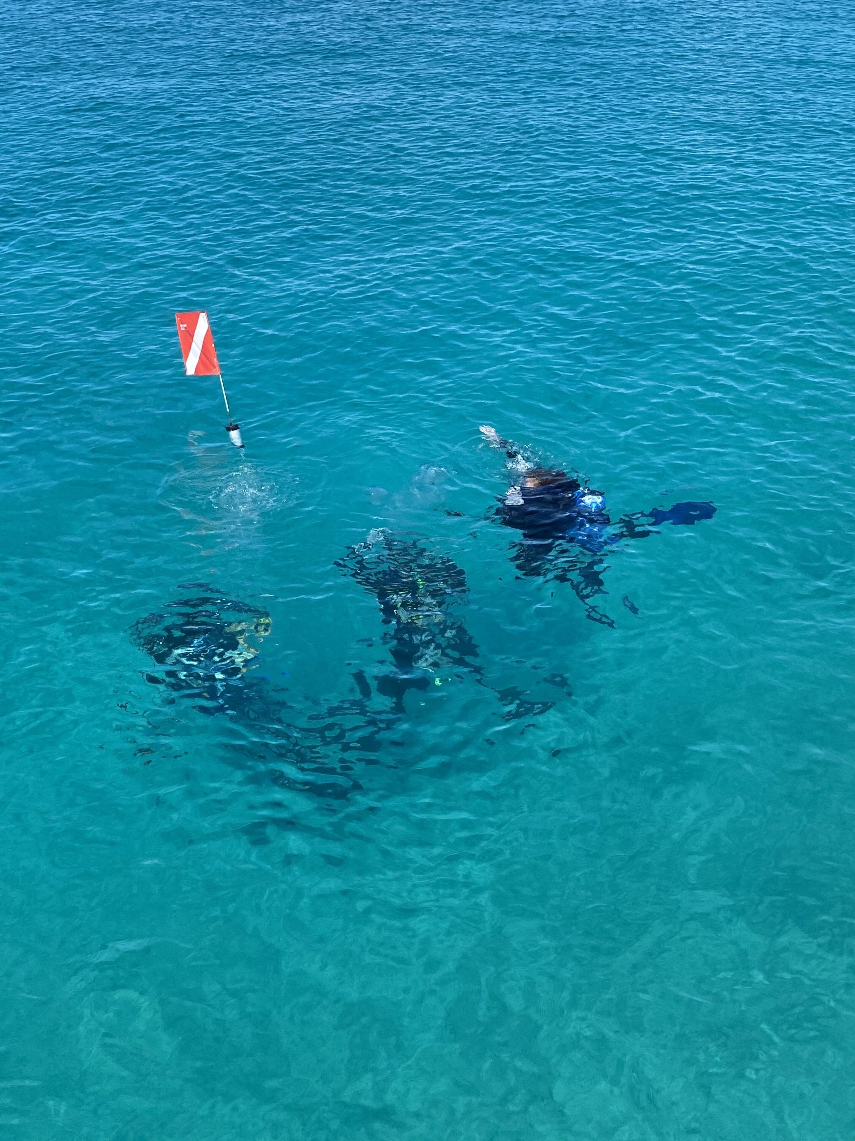 A swimmer with a red and white flag in clear blue water.