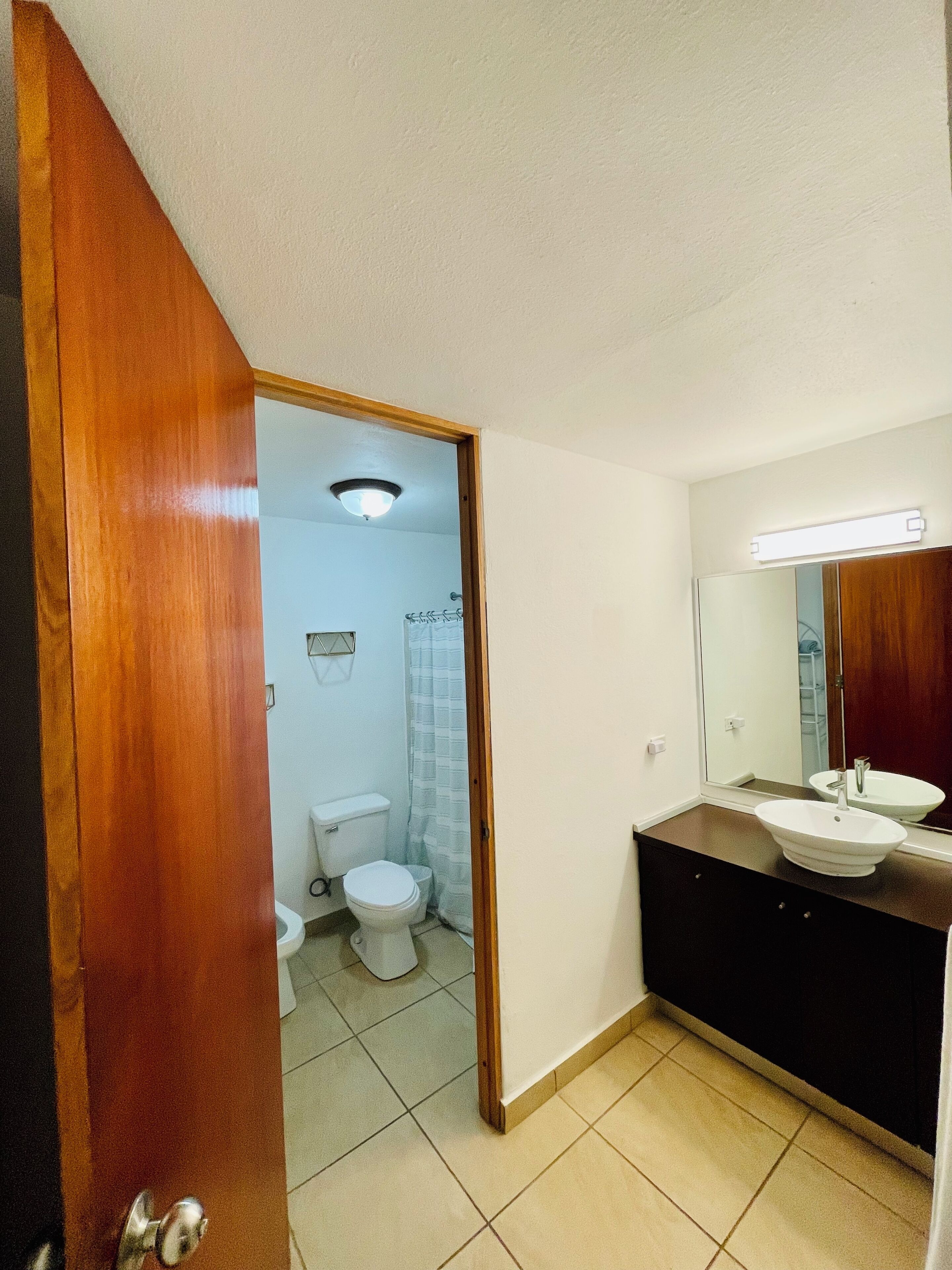 Une salle de bain avec une porte en bois, des toilettes blanches, un rideau de douche et un meuble-lavabo avec un miroir.