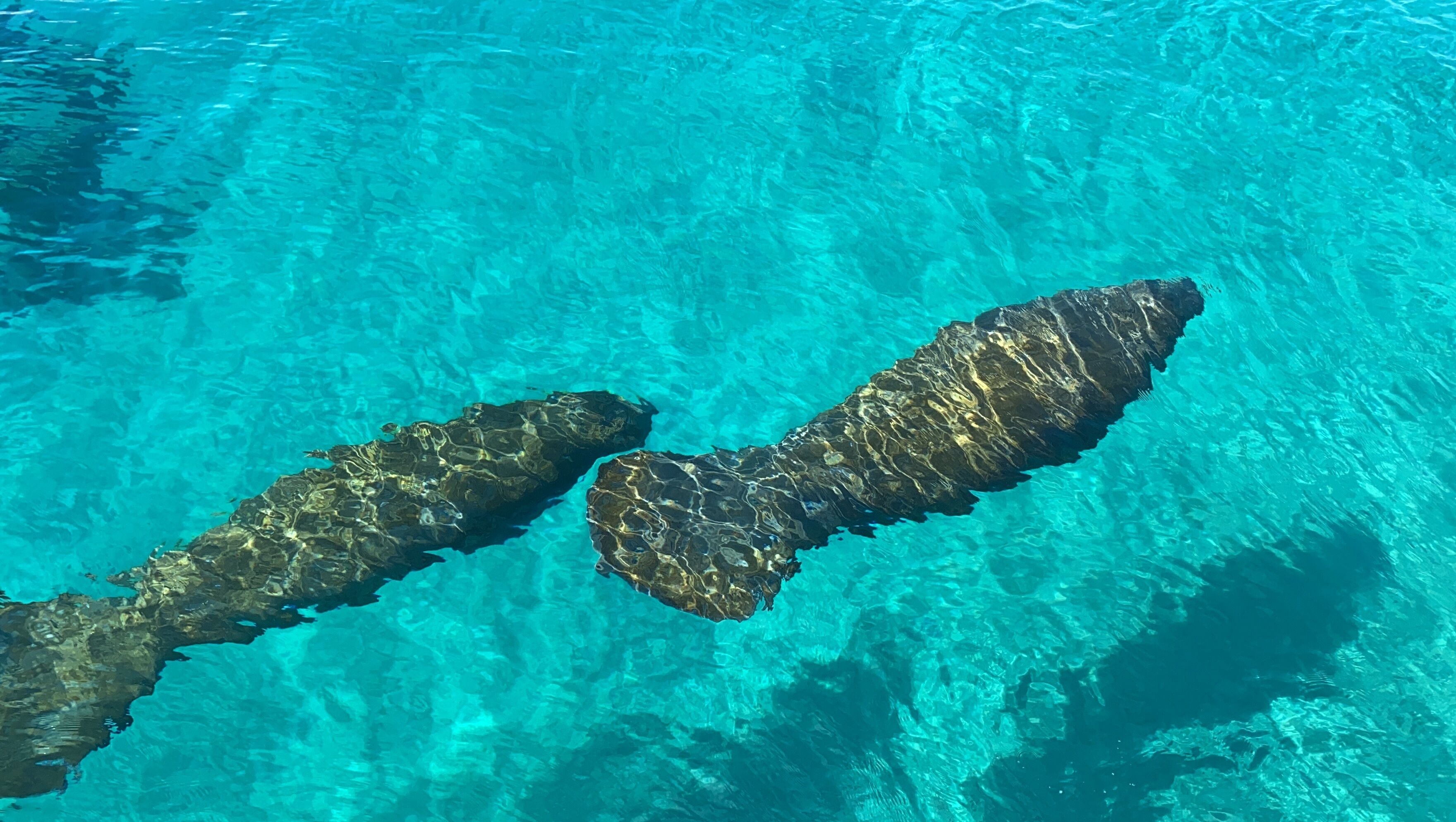 On aperçoit clairement une piscine avec deux gros rochers immergés dans l’eau.