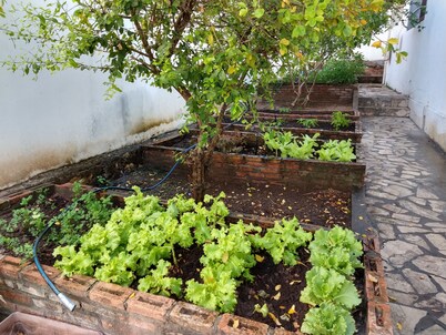 House in farmhouse with all structure of leisure and comfort