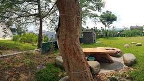 Un espace herbeux avec une table de pique-nique, des rochers et un arbre.