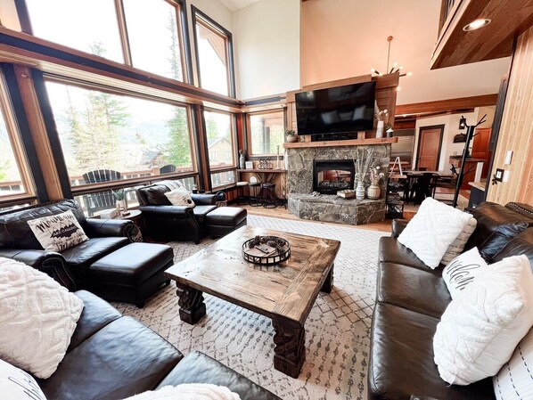 TV, fireplace, video games, DVD player