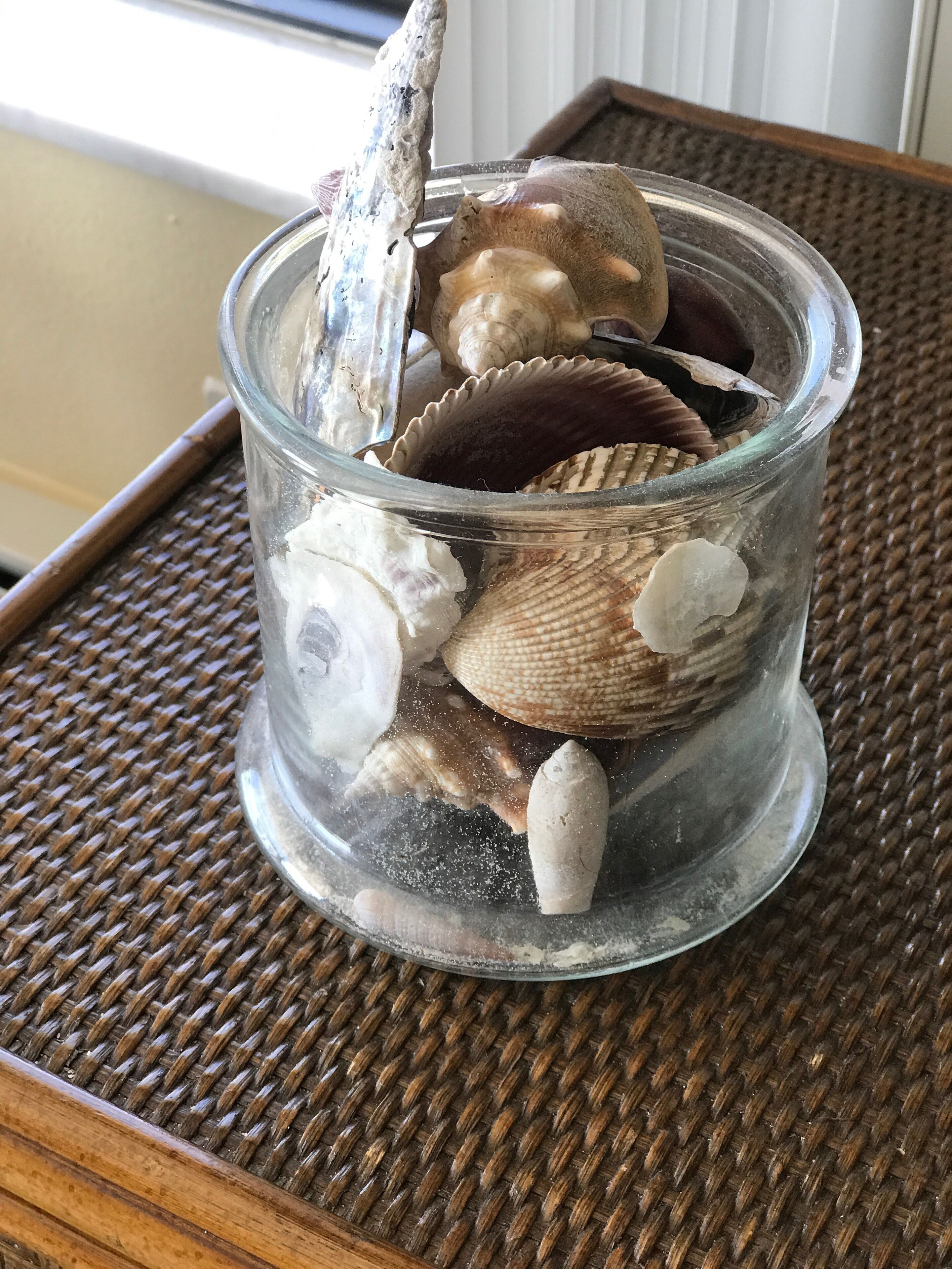 A glass container with various seashells and a piece of driftwood on a woven surface.