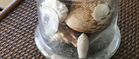 A glass container with various seashells and a piece of driftwood on a woven surface.
