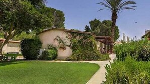 Una casa con jardín, un sendero y una palmera.