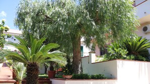 A courtyard with a palm tree, a large tree with hanging branches, and a staircase leading to a building. - B&B La Piccola Oasi (Motta San Giovanni)
