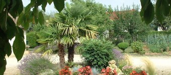 Chambres d'hôtes Bell'vue à Chauvigny