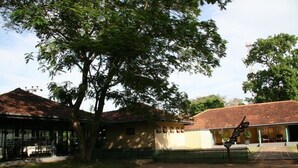 A building with a tiled roof, a fenced area, and a large tree in front. - Heritage Habarana Resort (Habarana)