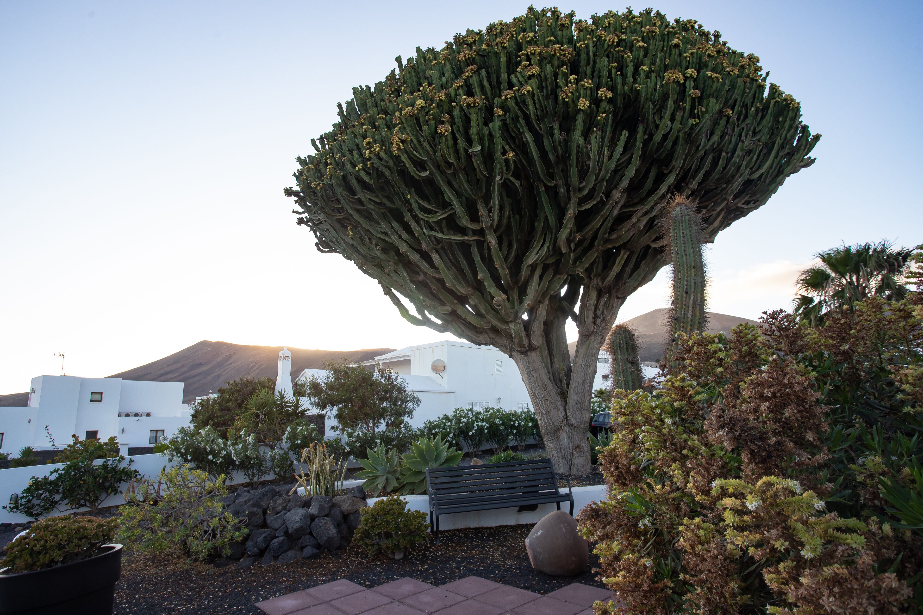 Foto - 5 Suites Lanzarote