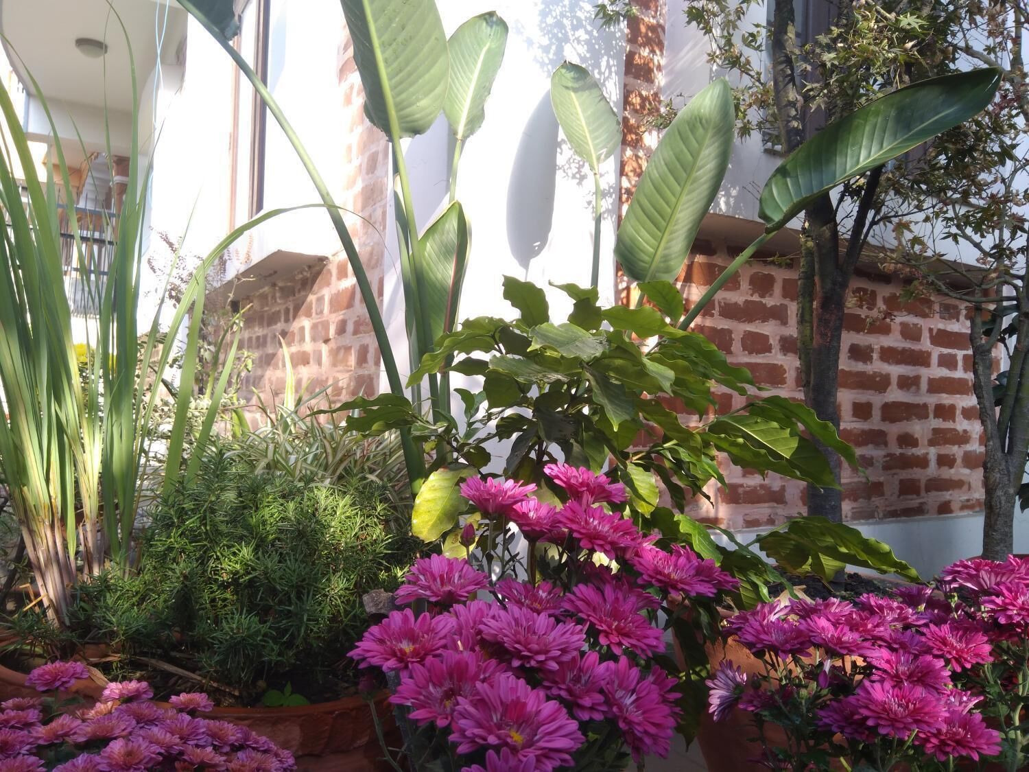 Área da propriedade