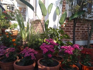 Property grounds - Queen Forest Homestay (Kathmandu)