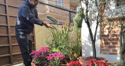 Queen Forest Homestay