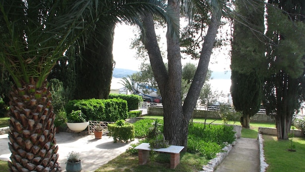 Un giardino con un vialetto, palme e diverse siepi.