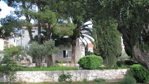 Un muro in pietra, un piccolo albero e un edificio con una finestra e persiane.