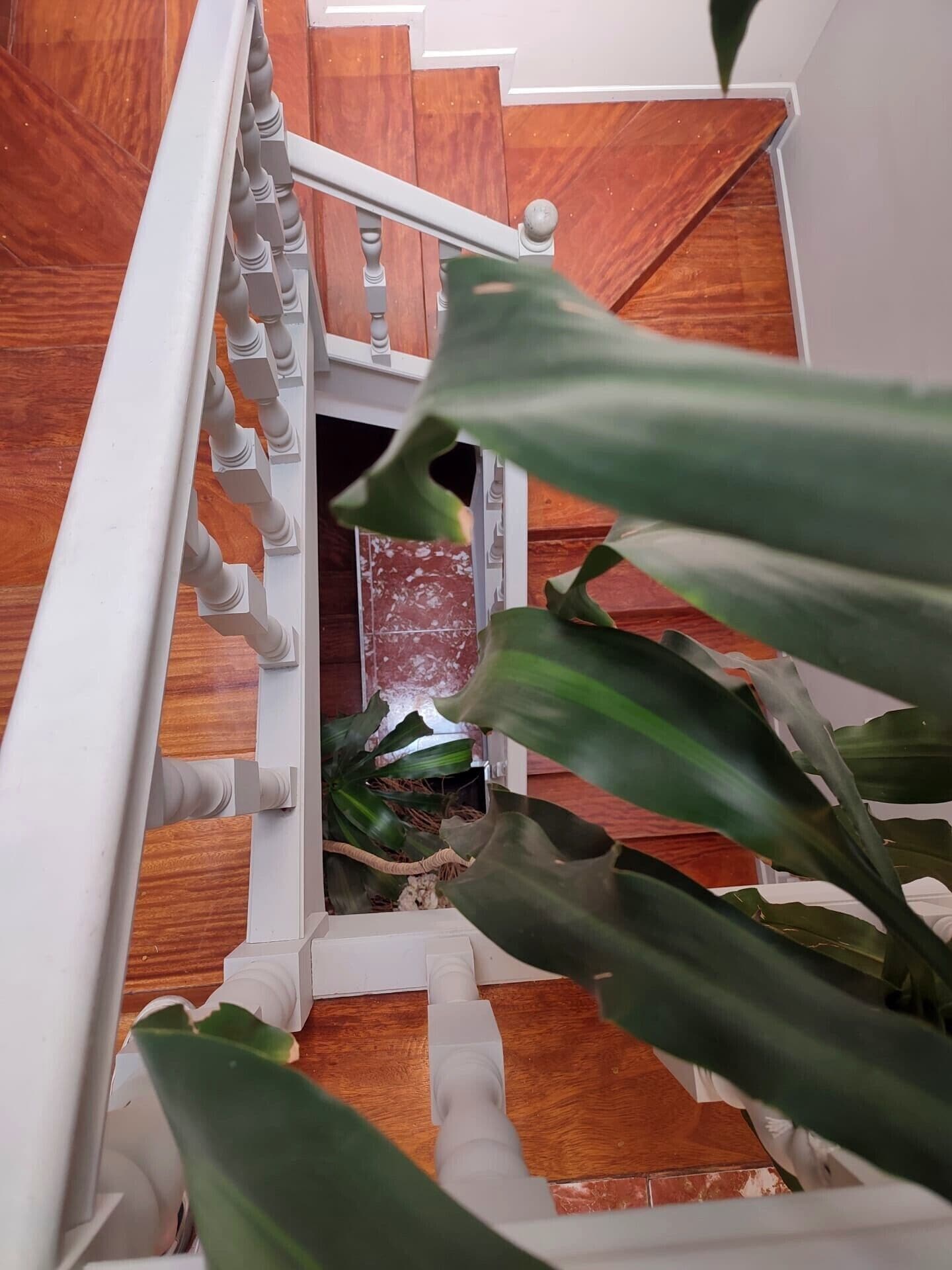 Foto - Vila Hotel By VimaHotels