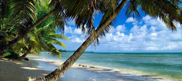 Am Strand