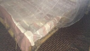 Una cama con mosquitero.