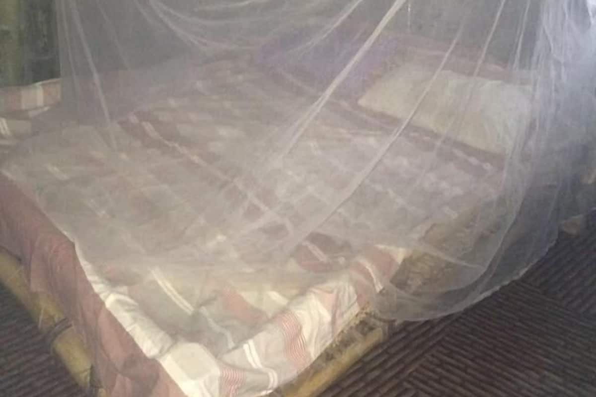 A bed with a mosquito net.